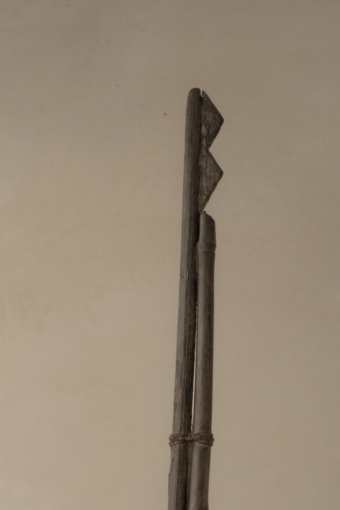 SNY05621.jpg