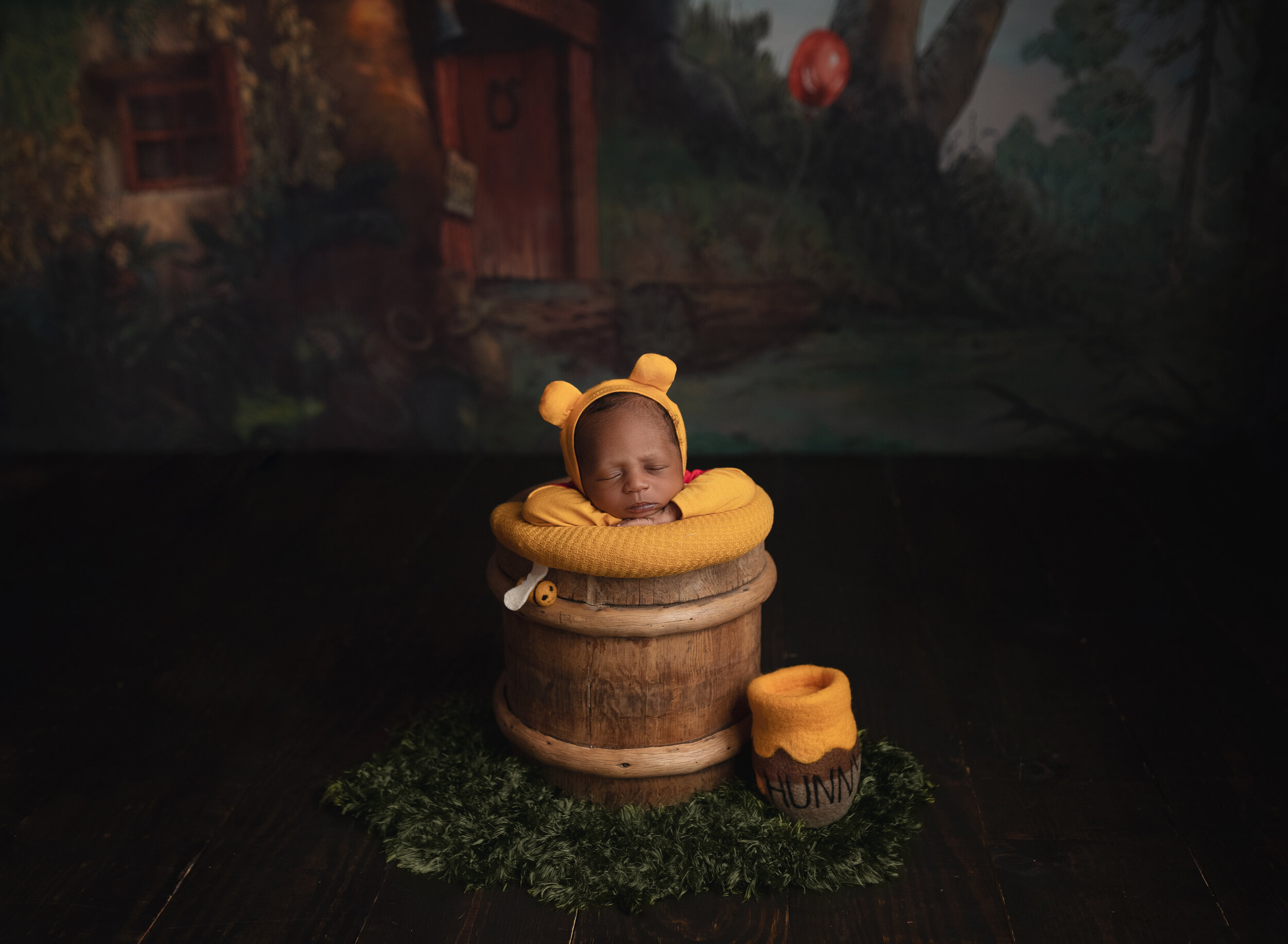 Morgan City Louisiana Newborn baby winnie the pooh