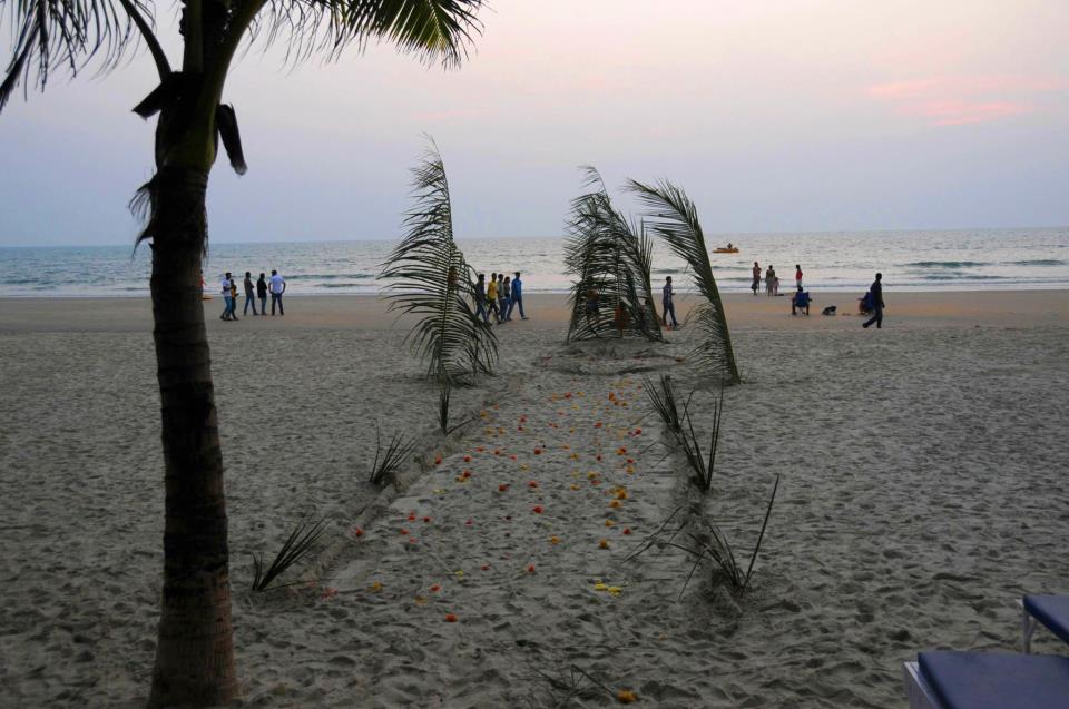 My beach wedding