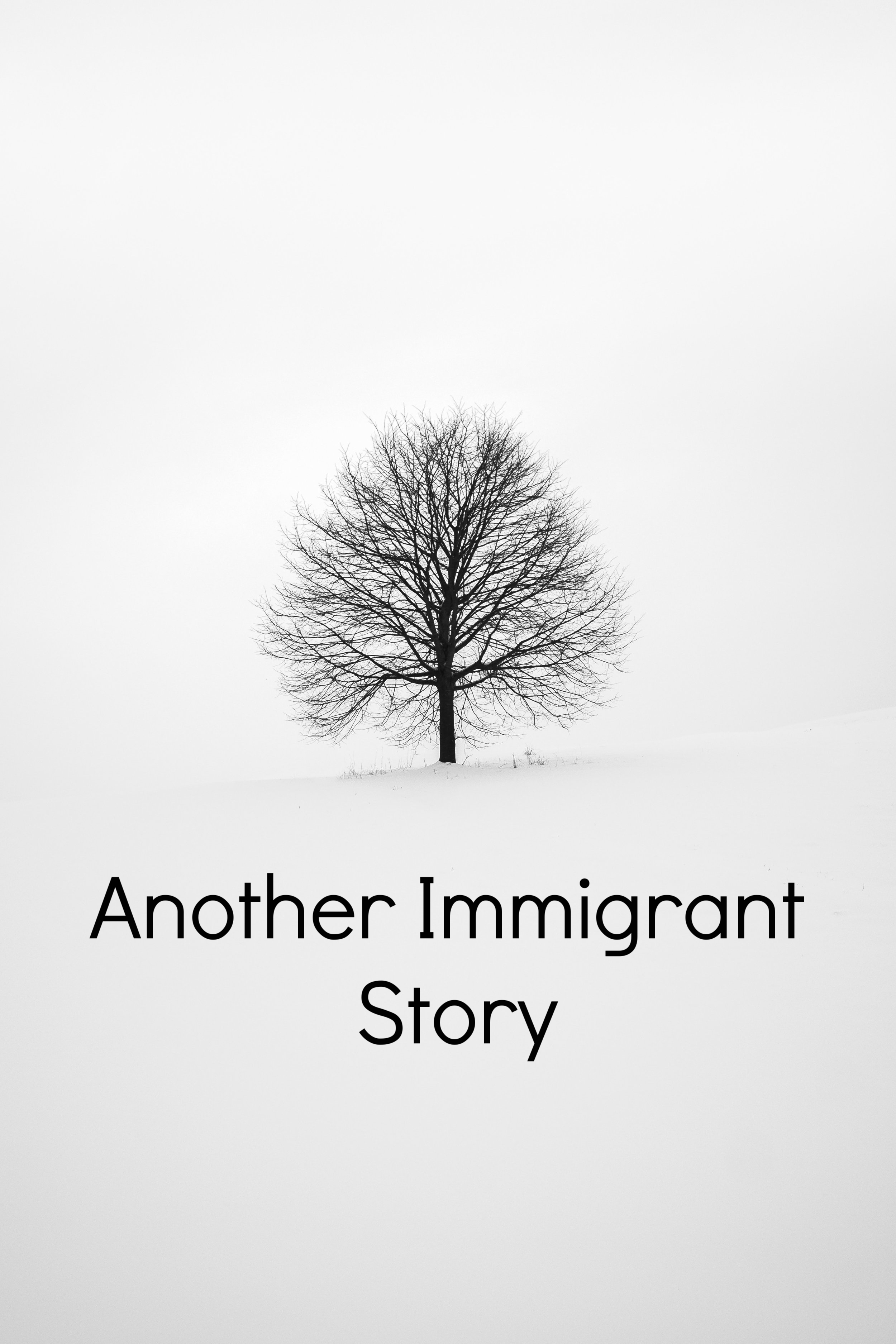 Another Immigrant Story