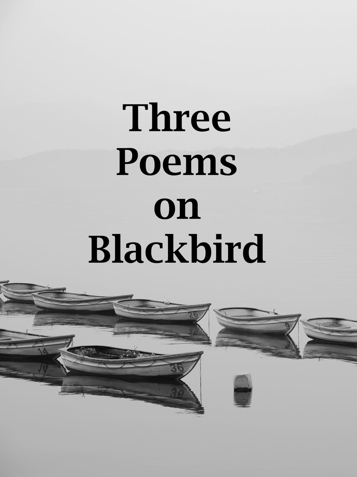 Three Poems on Blackbird