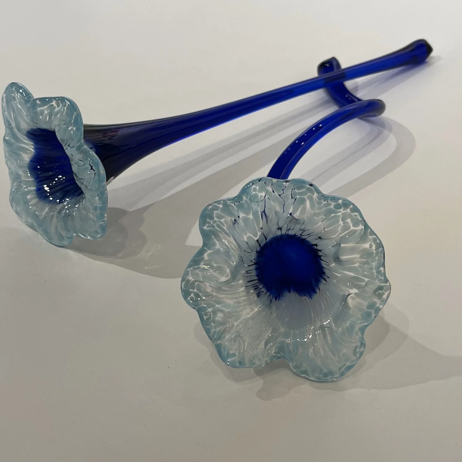 Blue Flowers