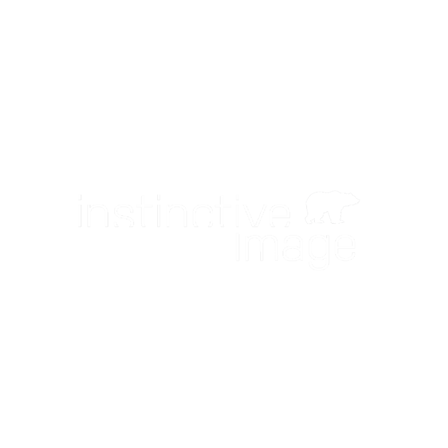 Instinctive Image