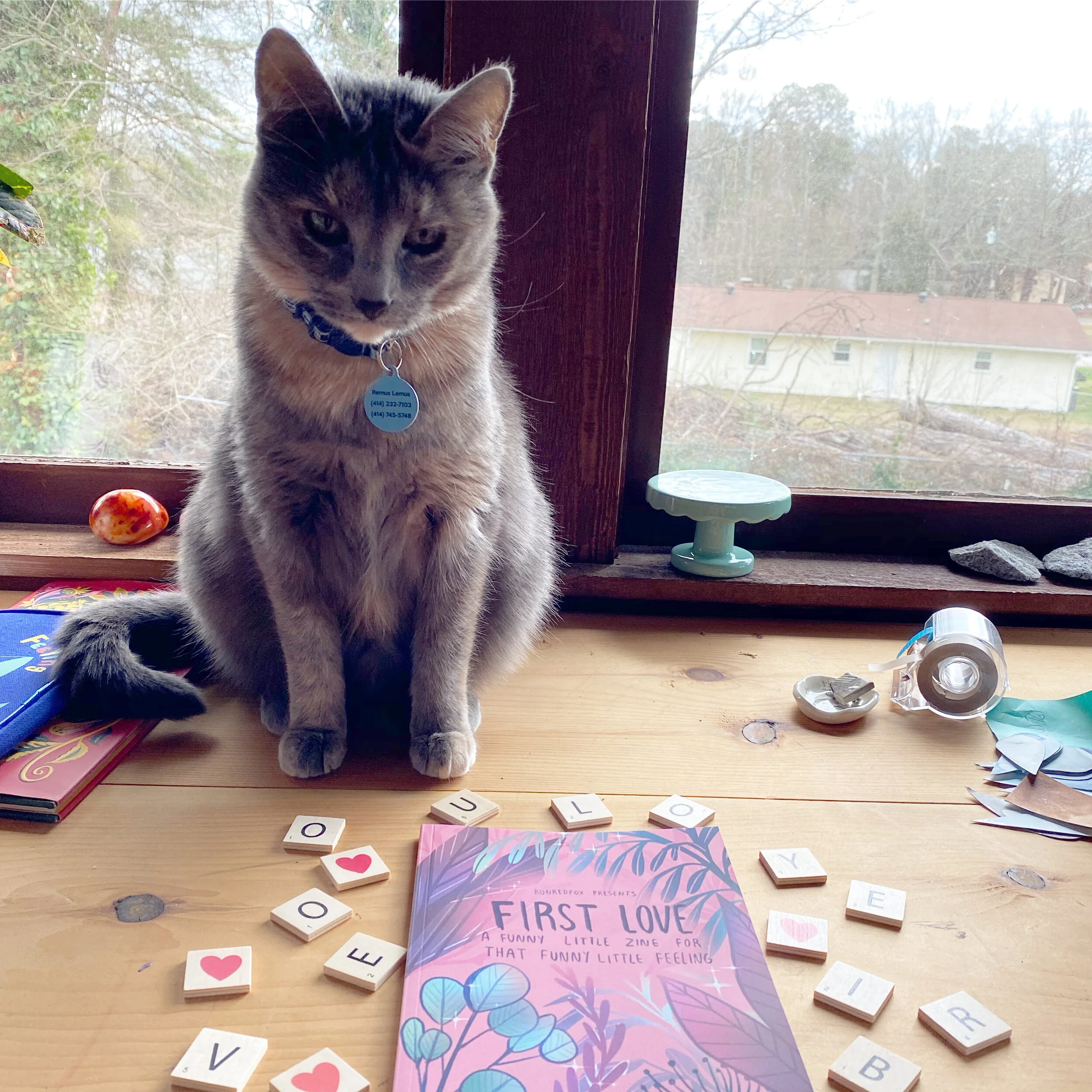 5CDB2B26-63A2-418A-9CAE-ED9448EF67BC