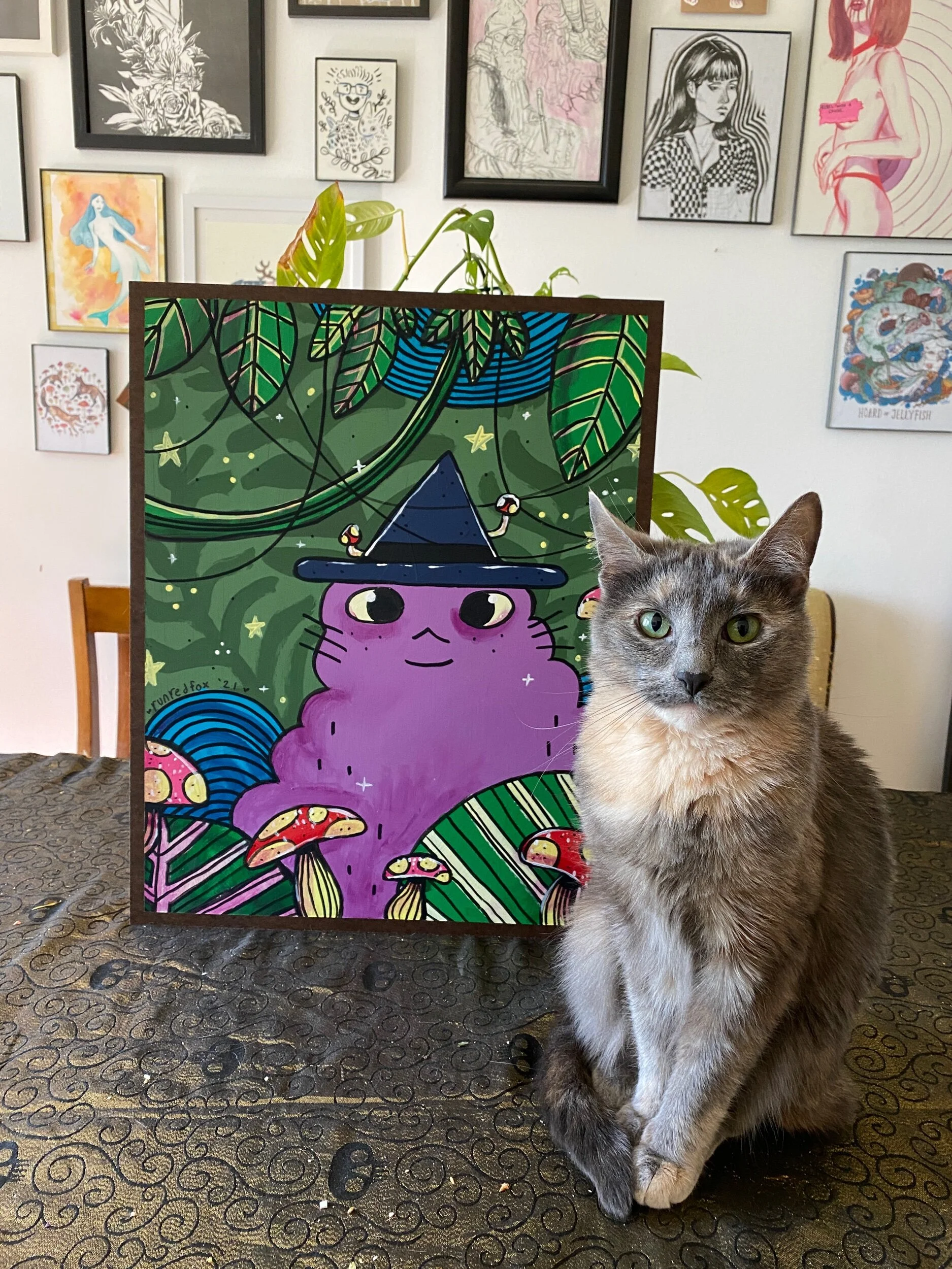 DC46A437-B246-4982-938B-FA8FD3FF9556