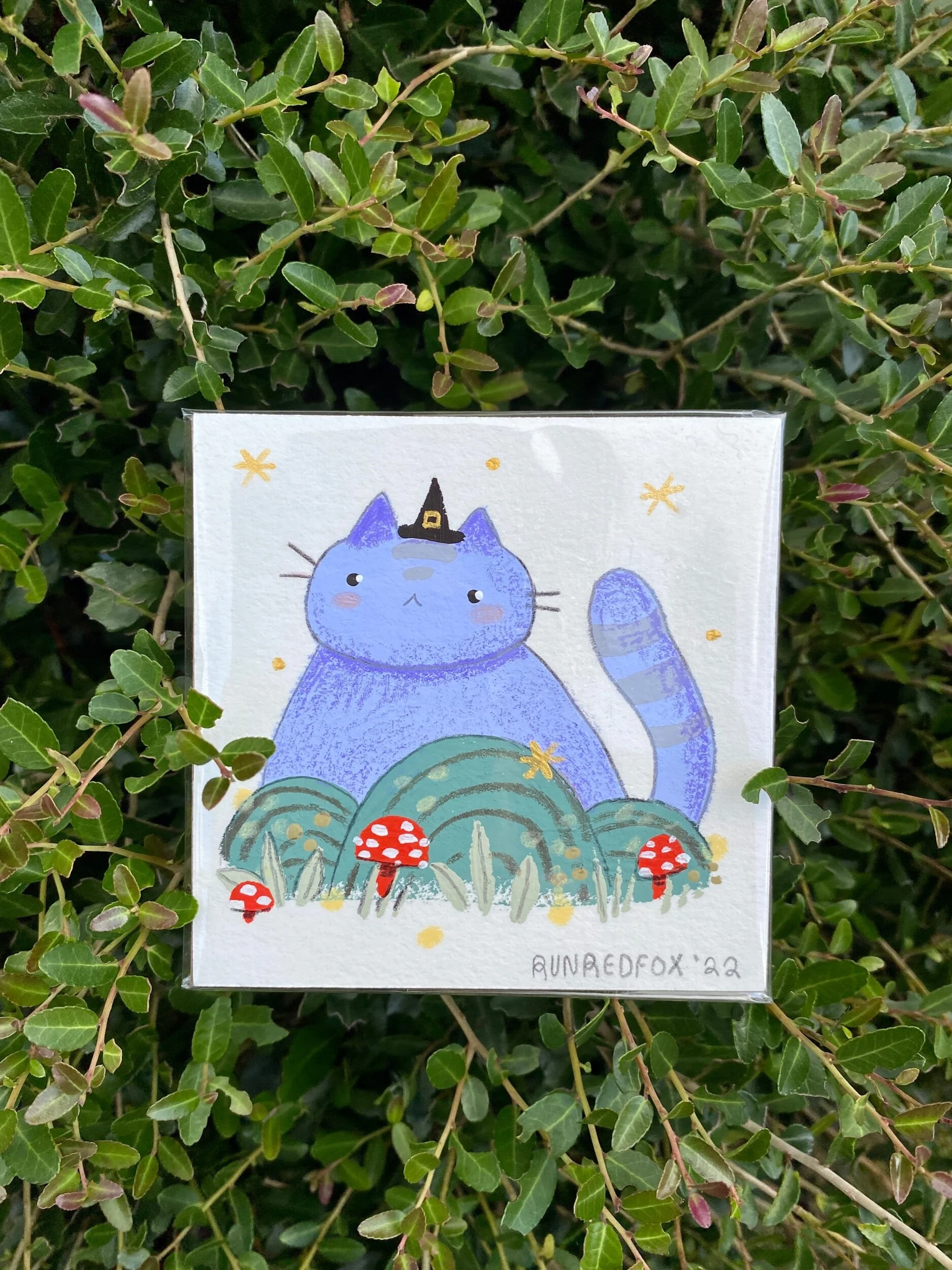 1AC08F6E-257E-42FE-8BB5-B510420D1227