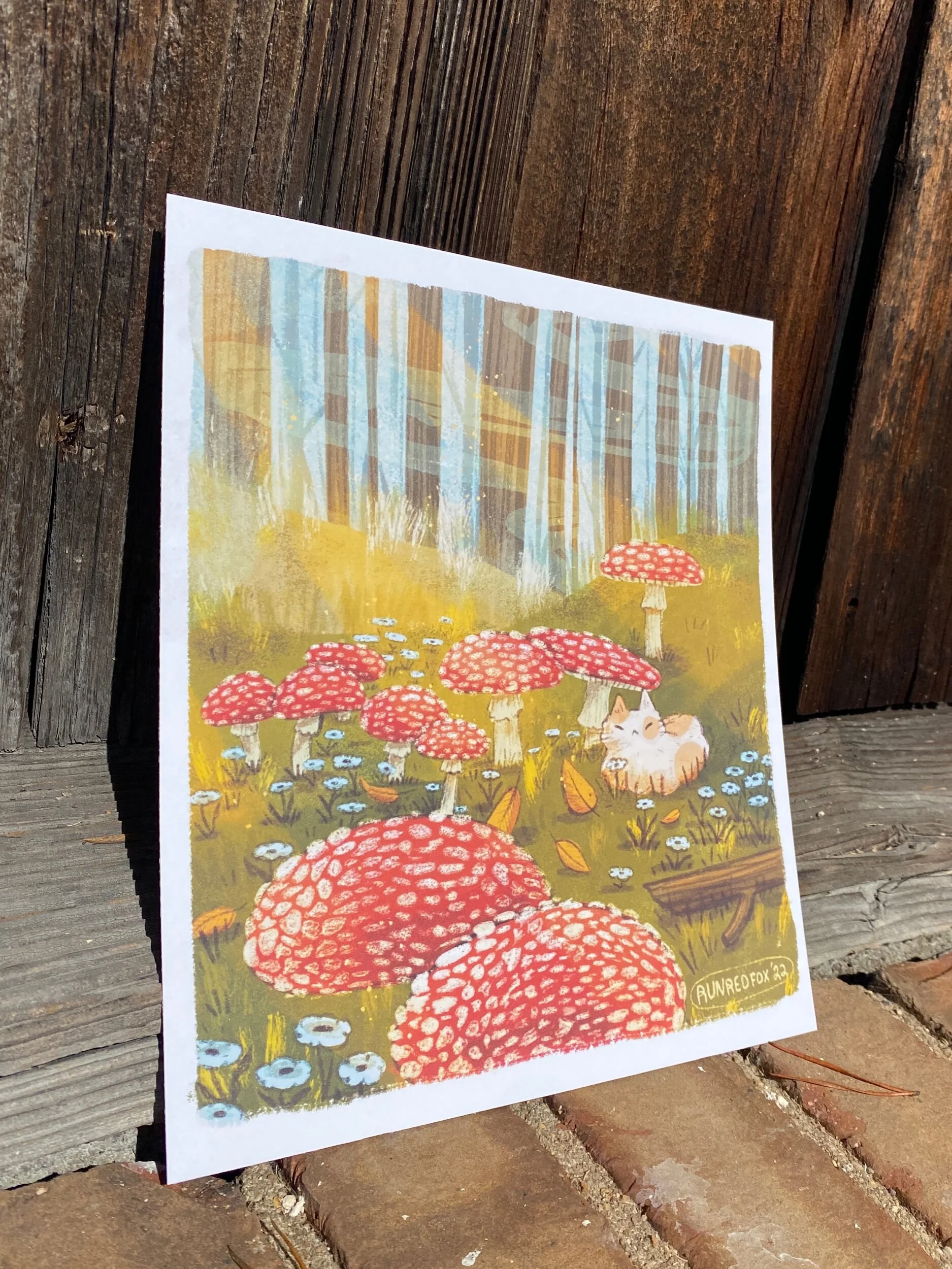 CA69FD06-86AF-4156-83E9-BF73C5B6C847