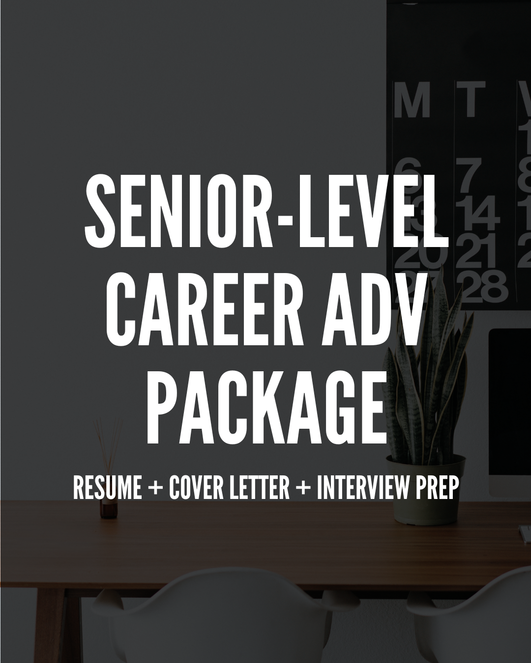 SENIOR-LEVEL CAREER ADVANCEMENT PACKAGE