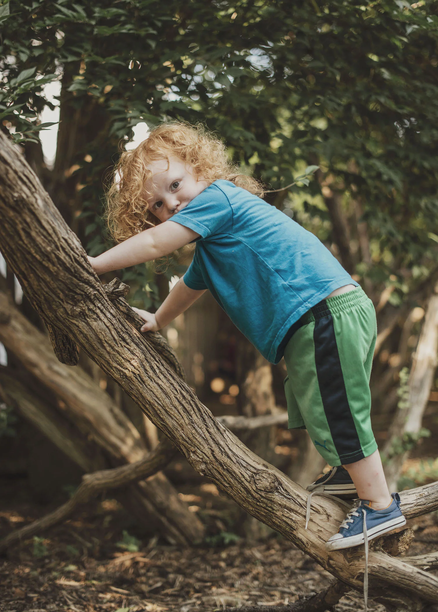 child climbing on tree branch.jpg