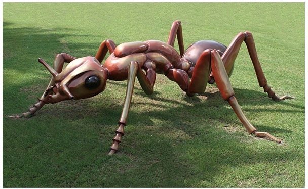 Cochran Ant Without Egg.jpg