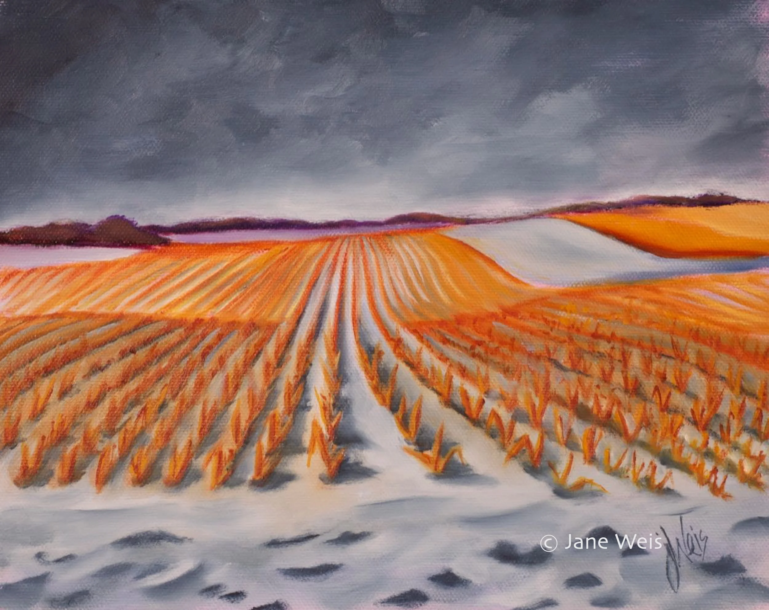 WINTER FIELDS