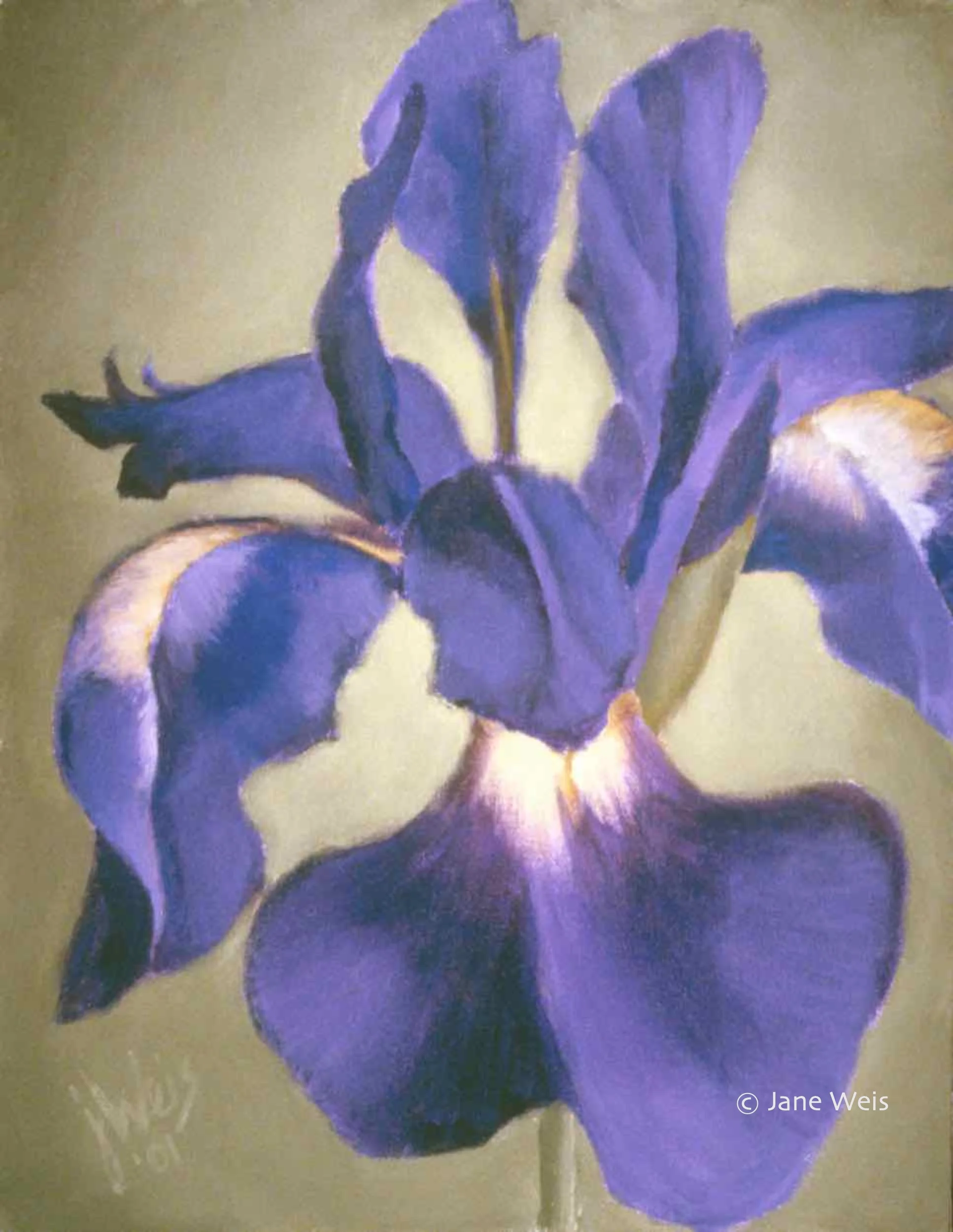 IRIS