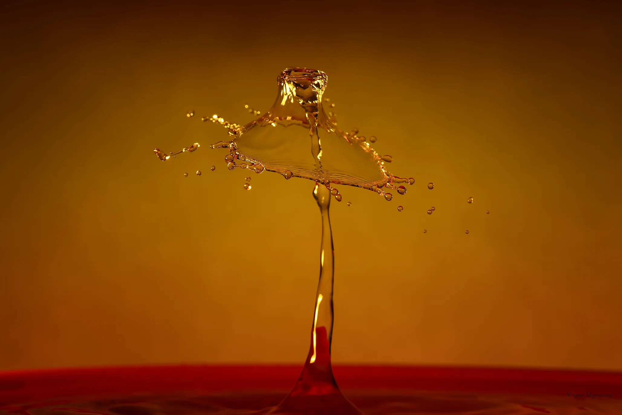 The Hidden World: Macro Photography of Everyday Objects