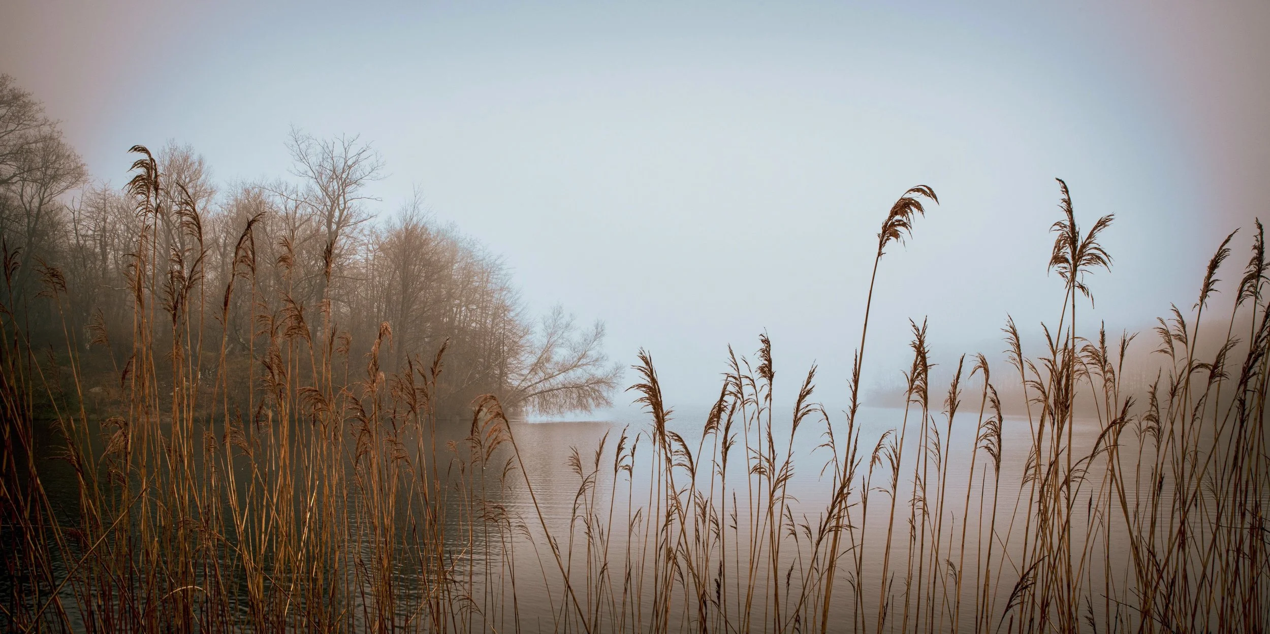 Lake Welch In Spring Fog.jpeg