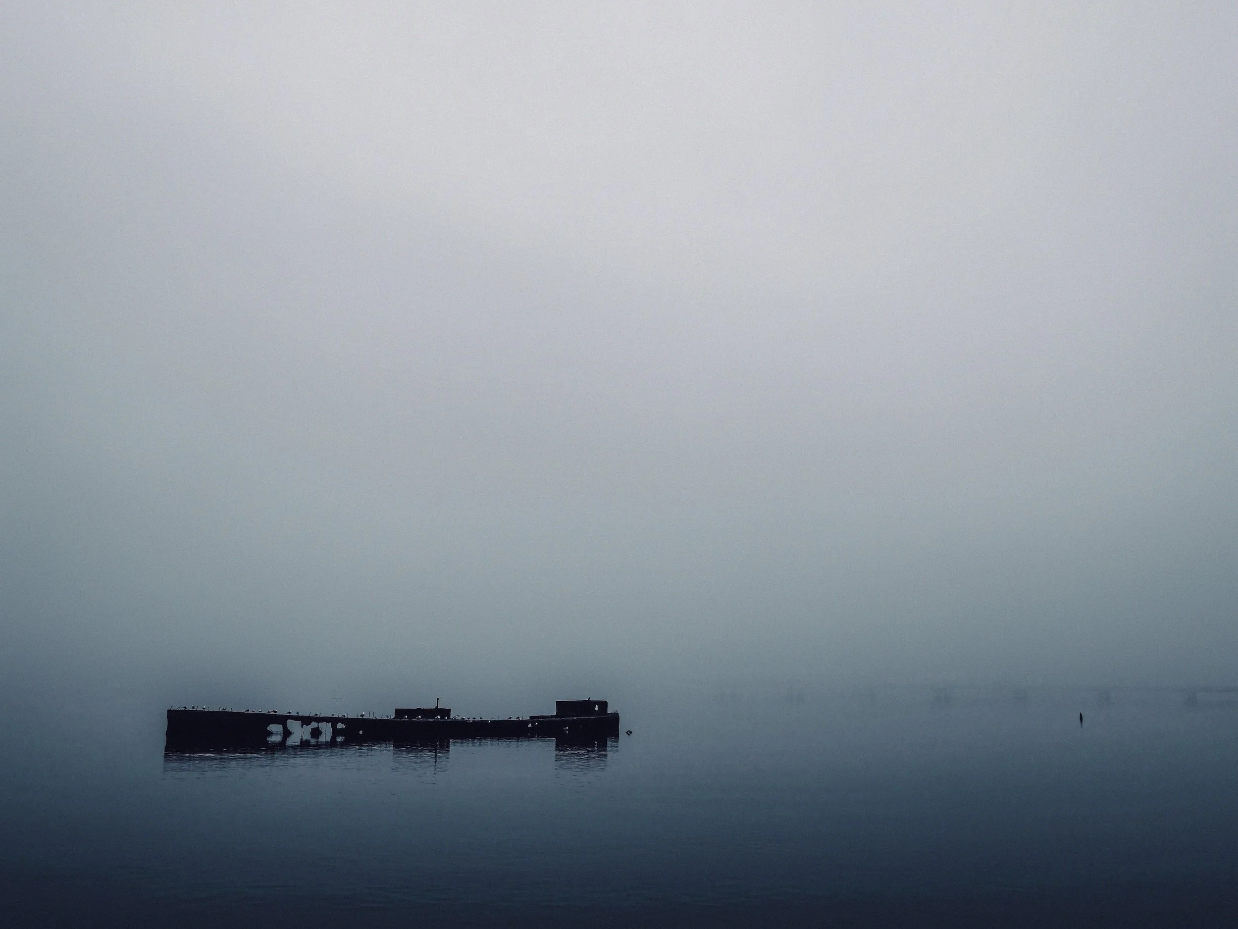 Shipwrecked Color.jpeg