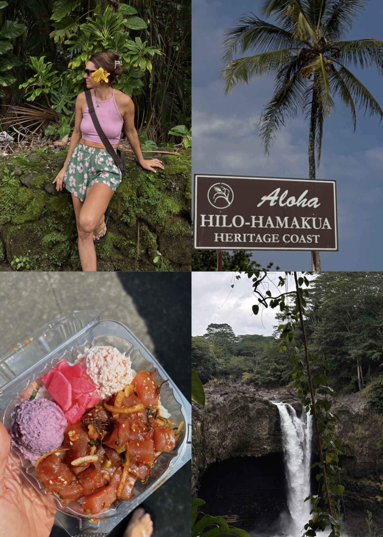 Hilo Travel Guide