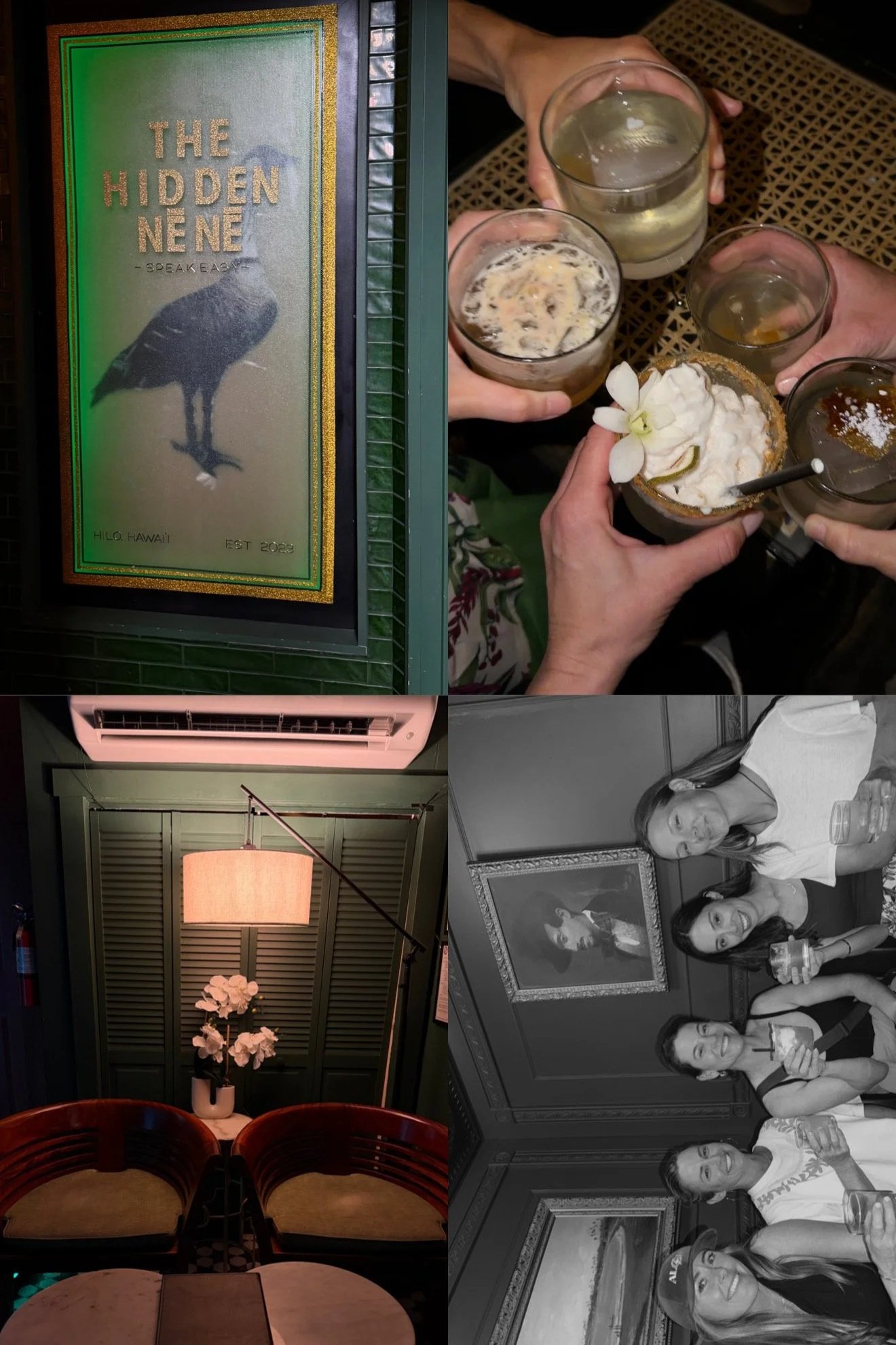 The Hidden Nene Hilo Hawaii