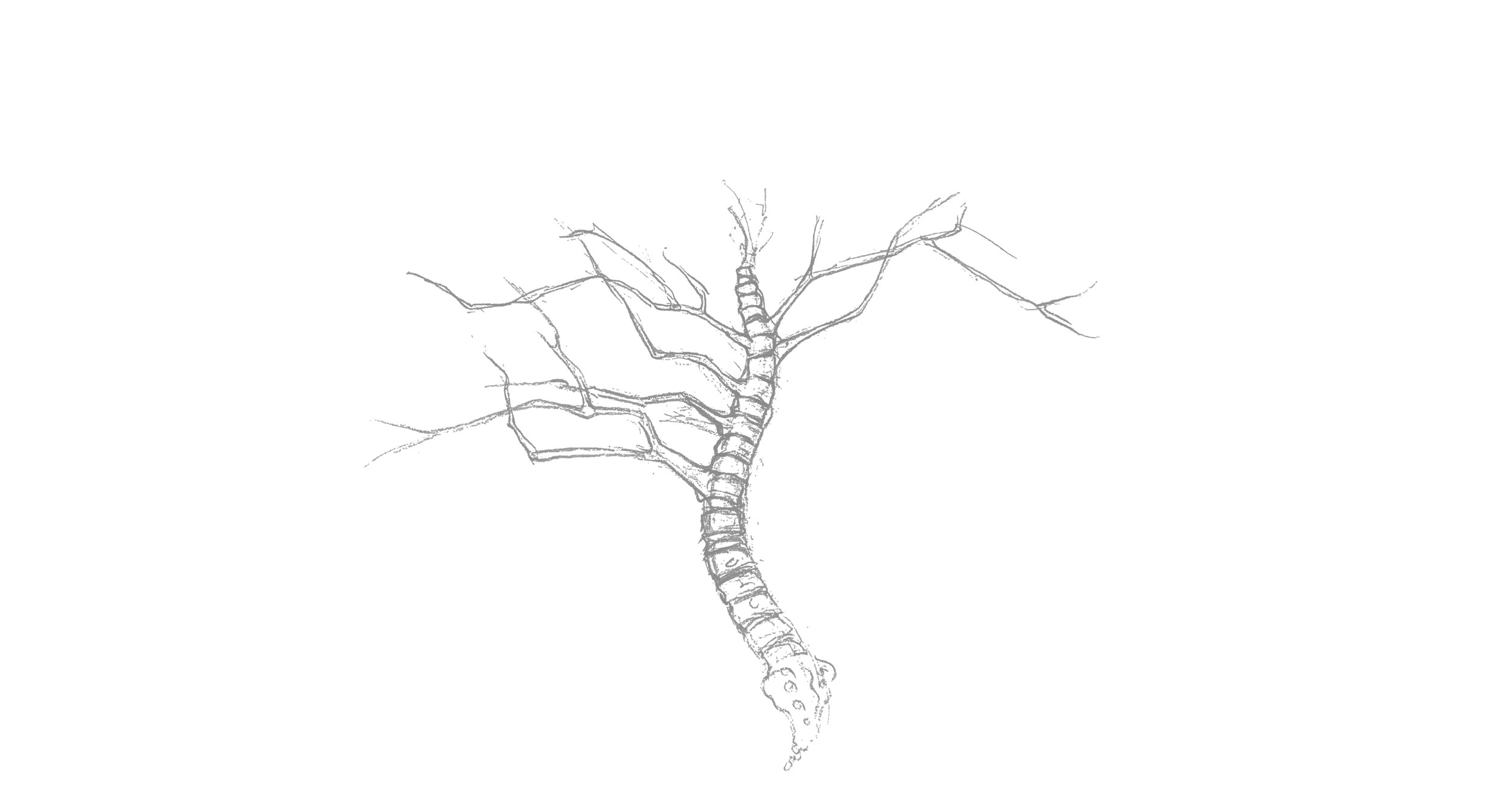Kington Chiropractic and Physiotherapy Branches.jpg