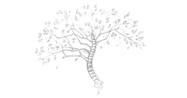 Kington Chiropractic and Physiotherapy.jpeg