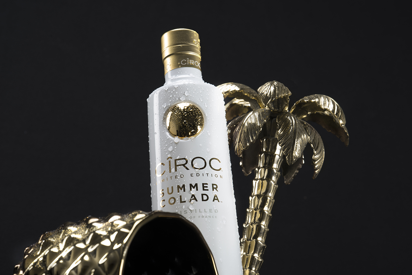 CIROC EMOTIONAL WEB FM.jpg