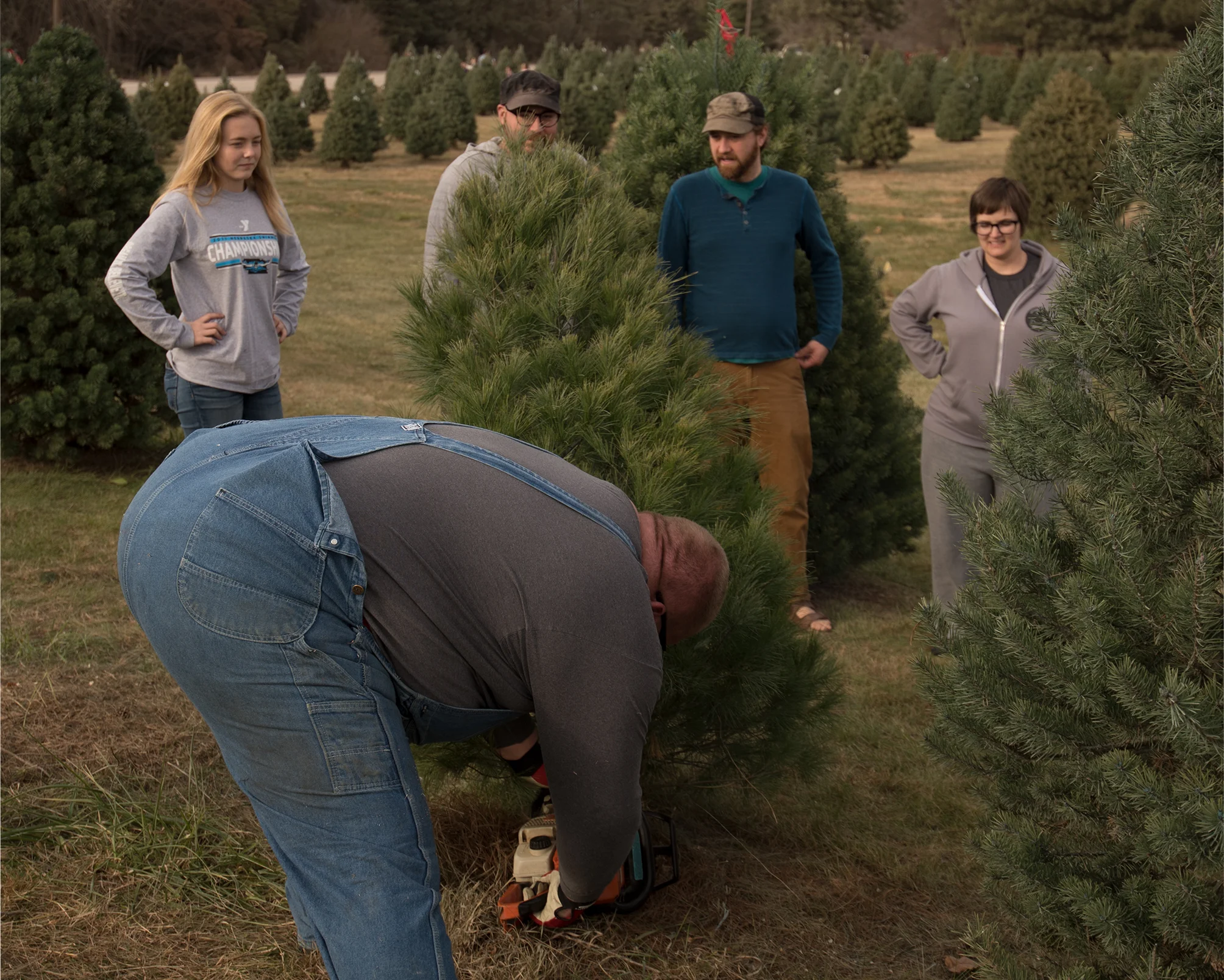 photo work prior pines.jpg