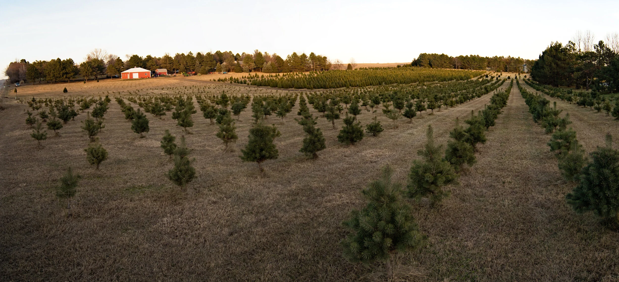 Untitled_Panorama-1.jpg