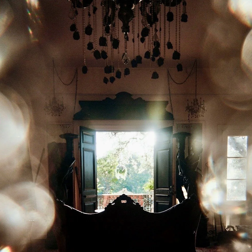 Step inside Victoria's Black Swan Inn with us, where you'll have exclusive access to the secrets and shadows of the historic property.

On Saturday, March 7th at 12:00 PM, we are hosting a one-hour daytime tour of the home and grounds. While the mans