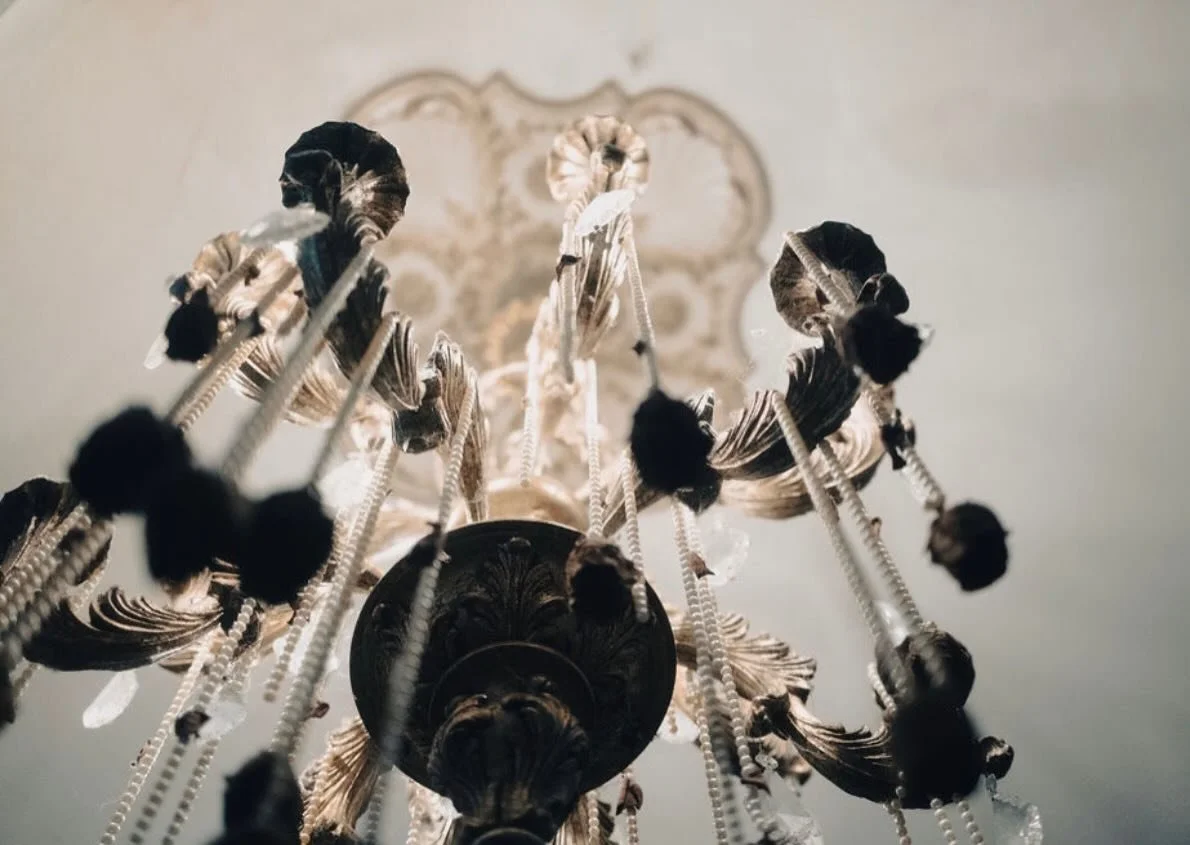 Step inside Victoria&rsquo;s Black Swan Inn with us, where you&rsquo;ll have exclusive access to the secrets and shadows of the historic property.

On Saturday, March 7th at 12:00 PM, we are hosting a one-hour daytime tour of the home and grounds. Wh