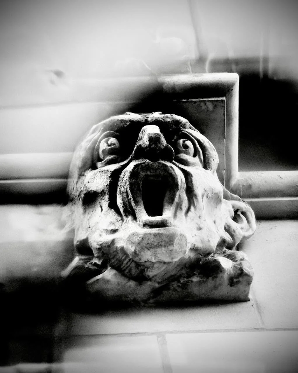 Have you ever looked up while walking downtown and felt like someone or something was watching you?

If you have stood outside the historic Tower Life Building in San Antonio, you have probably spotted for the creepy, highly expressive stone characte