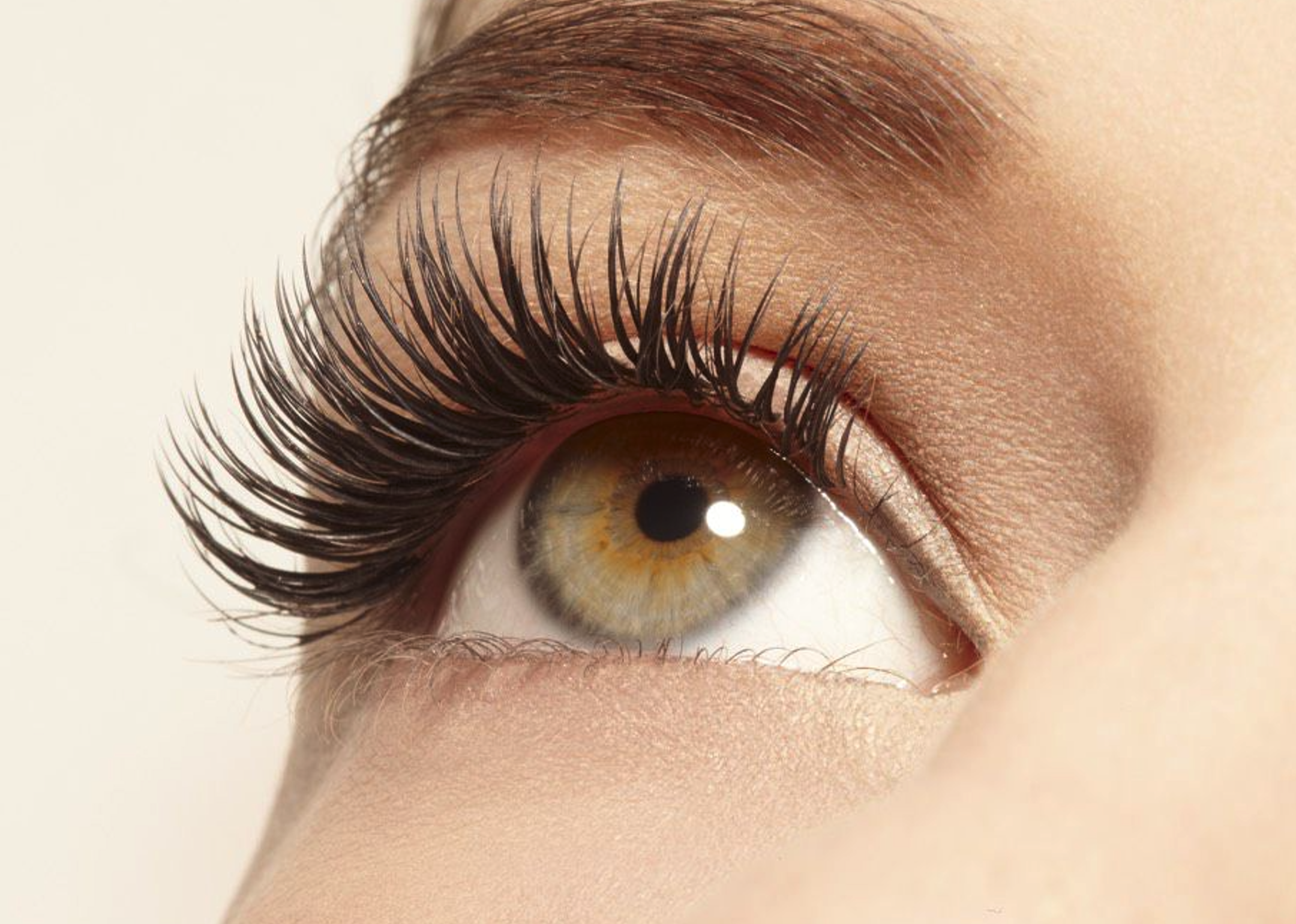 Close-up of a person's eye with long, dark eyelashes and well-groomed eyebrows.
