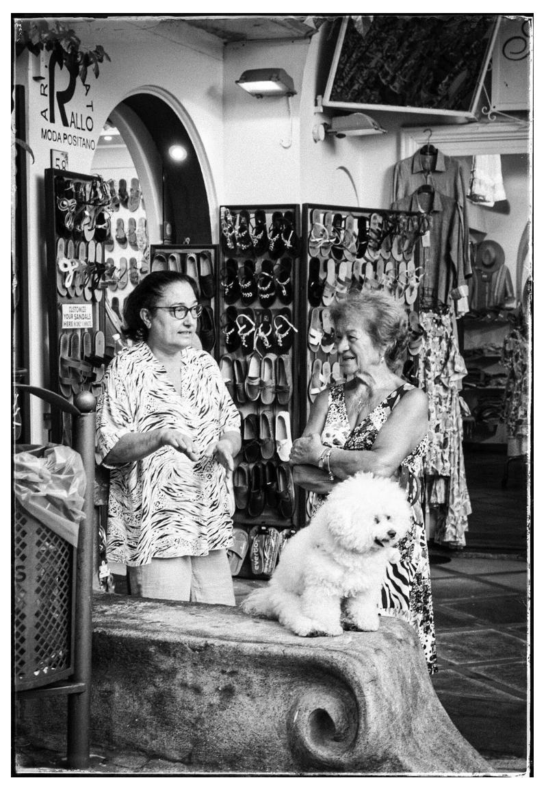 Two women talking inside a store with shoes and clothing displays, and a fluffy white dog sitting on a stone surface between them.