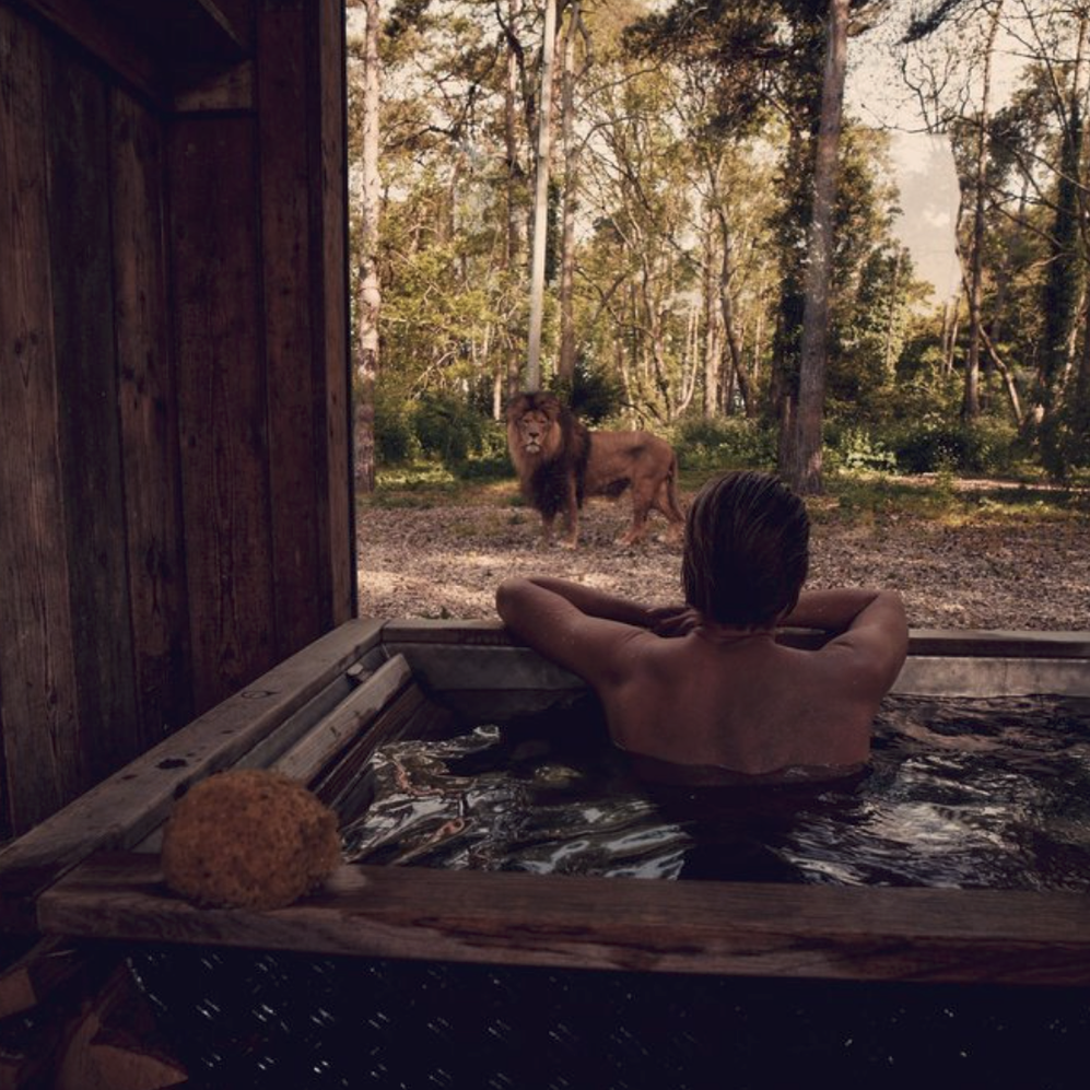 Travel & Destination