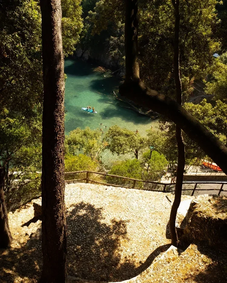 A view from a hill overlooking a river with a person kayaking surrounded by lush green trees.