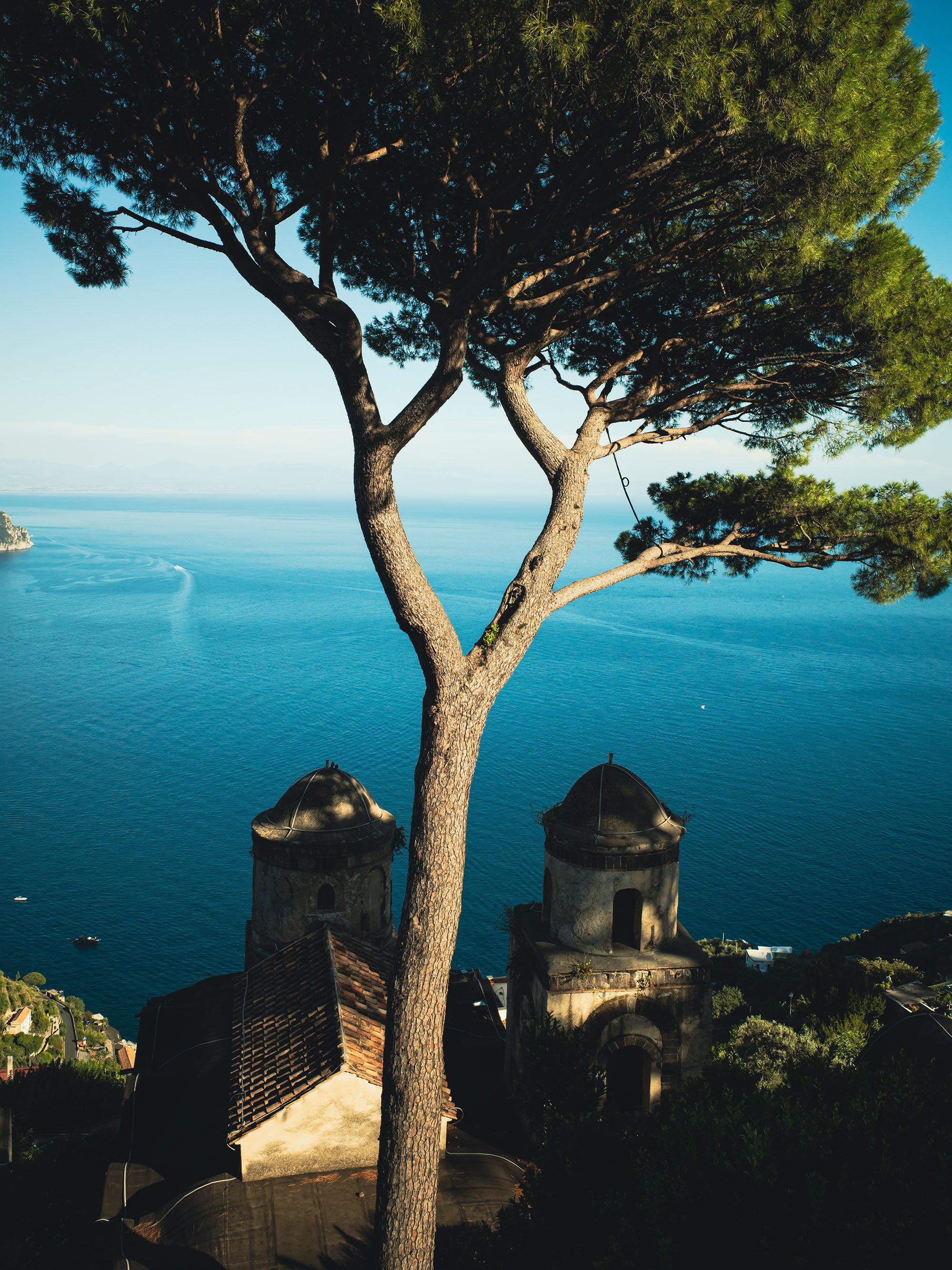View of a large tree with a view of the ocean in the background, rooftops and castles in the foreground, and a boat in the water.