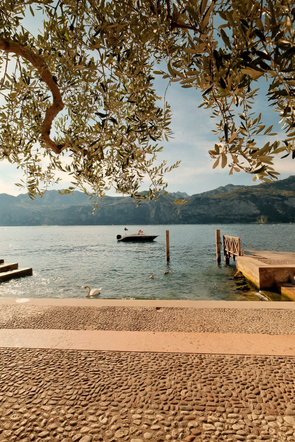 A lakeside scene with a paved and cobblestone walkway in the foreground, a swan in the water near the shore, a boat on the lake, and mountains in the background, with a tree's branches and leaves hanging overhead.