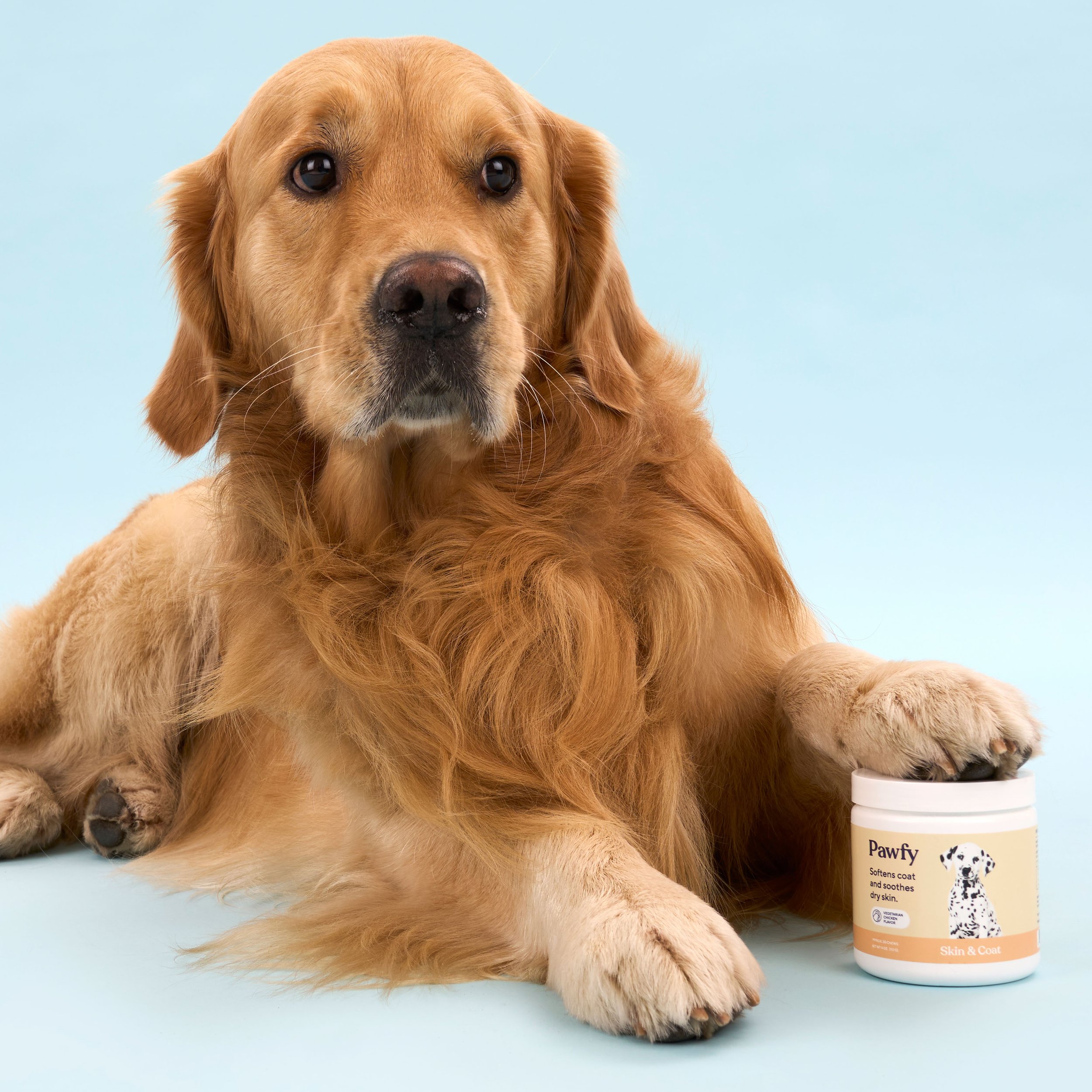 Pet Brand Photographer London 01.jpg