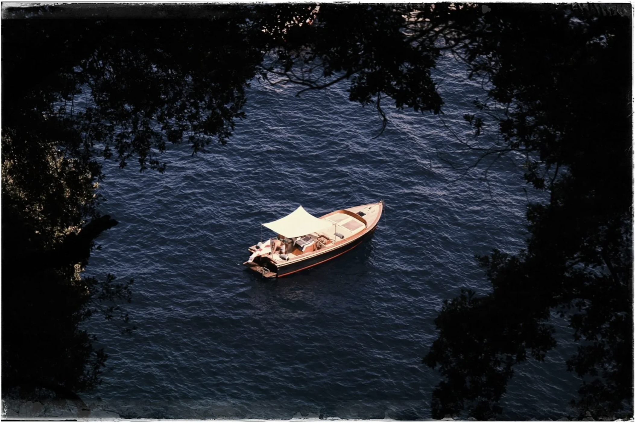 A boat with a white canopy floating on dark blue water, surrounded by overhanging tree branches with leaves, at dusk.