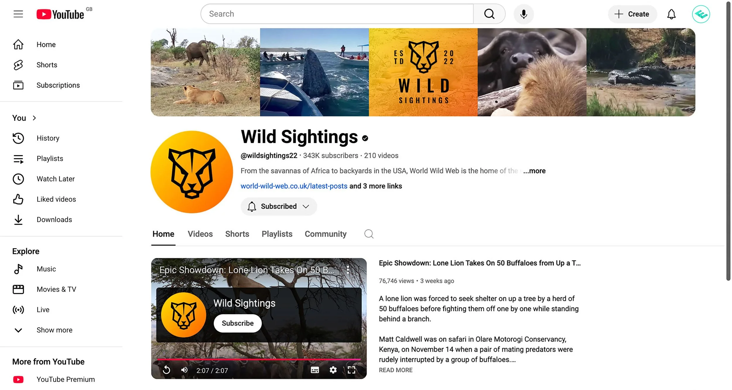 YouTube-Visuals.jpg