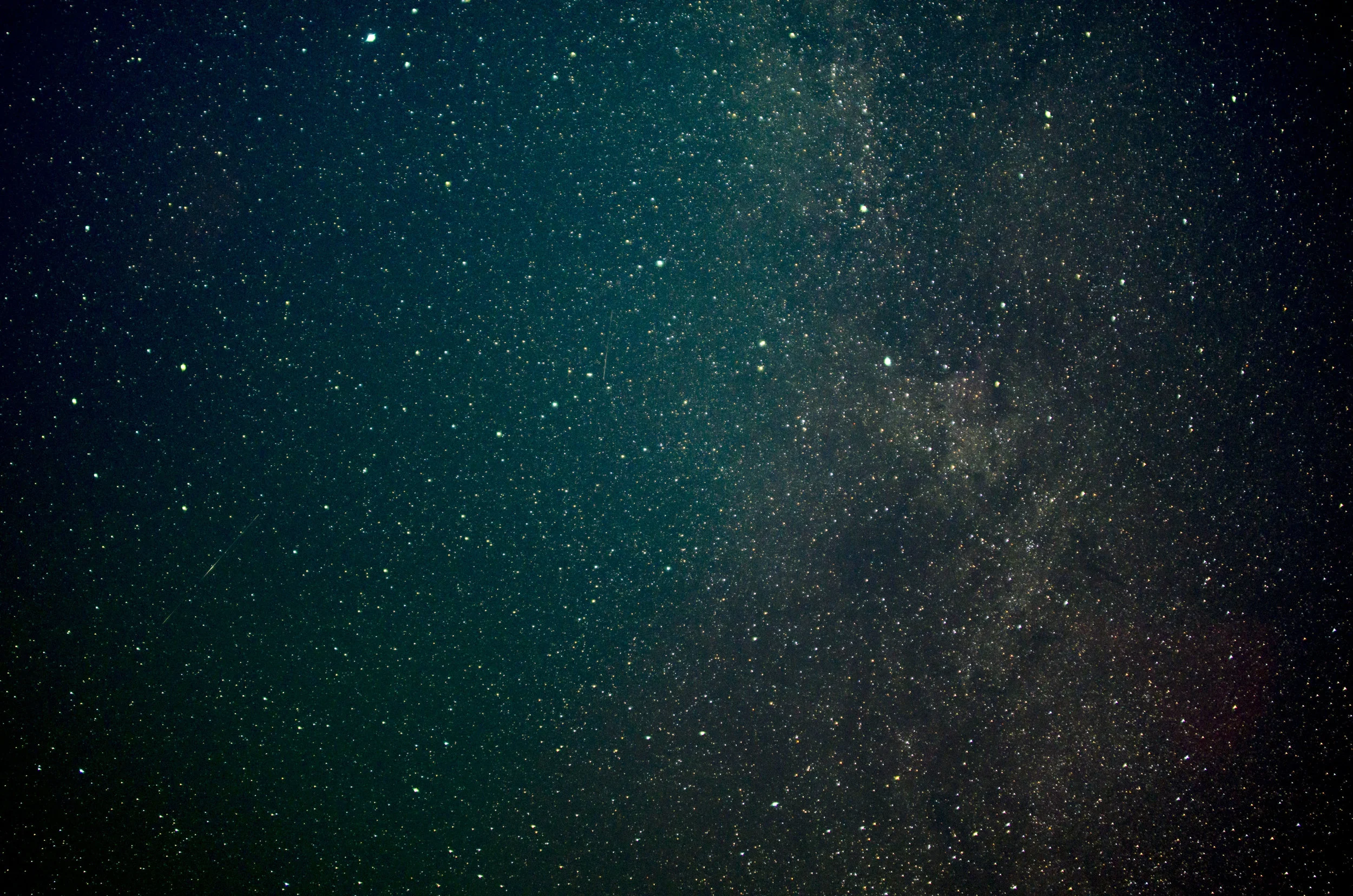 DSC_8923.jpg