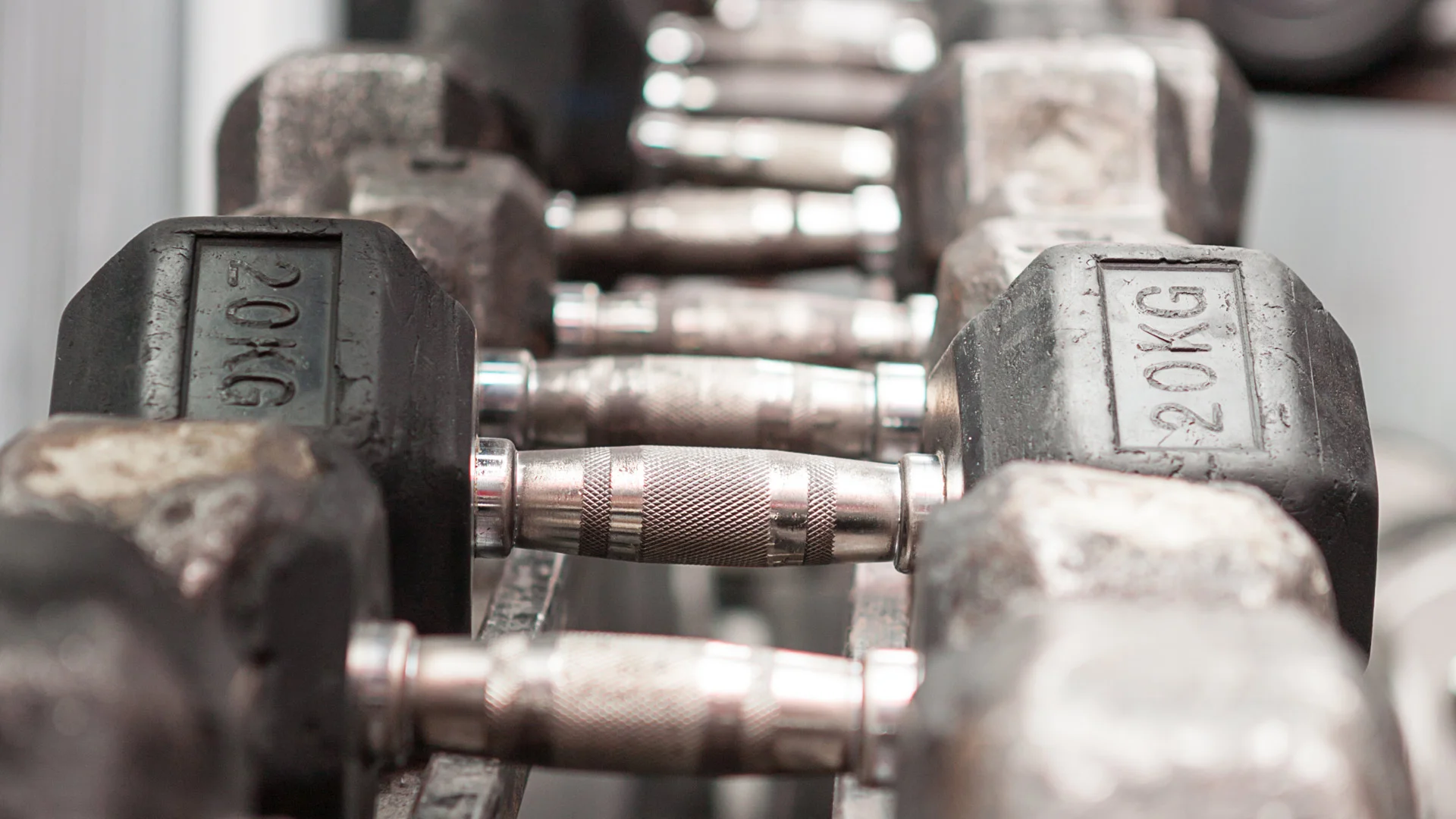 Gym-Header-1.jpg