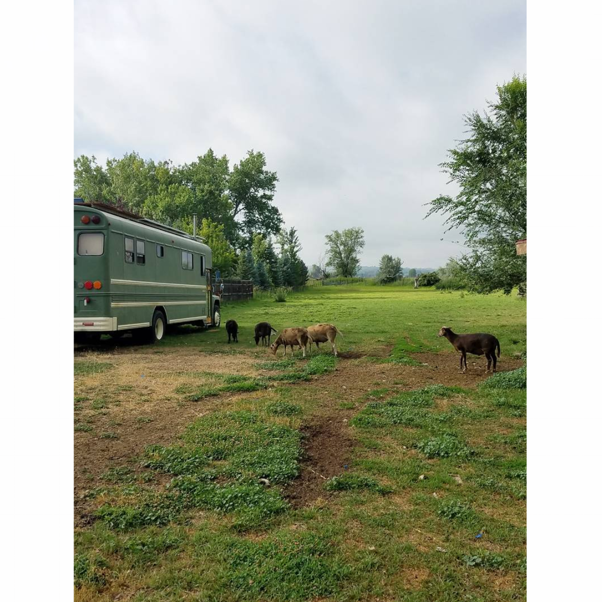 Screen Shot 2018-11-26 at 5.44.07 PM.png