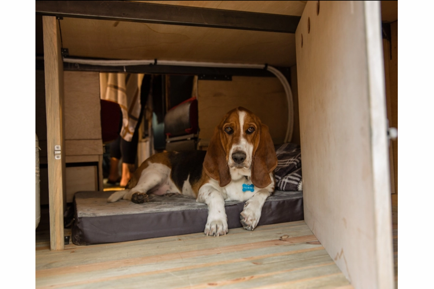 Screen Shot 2018-11-26 at 6.32.40 PM.png