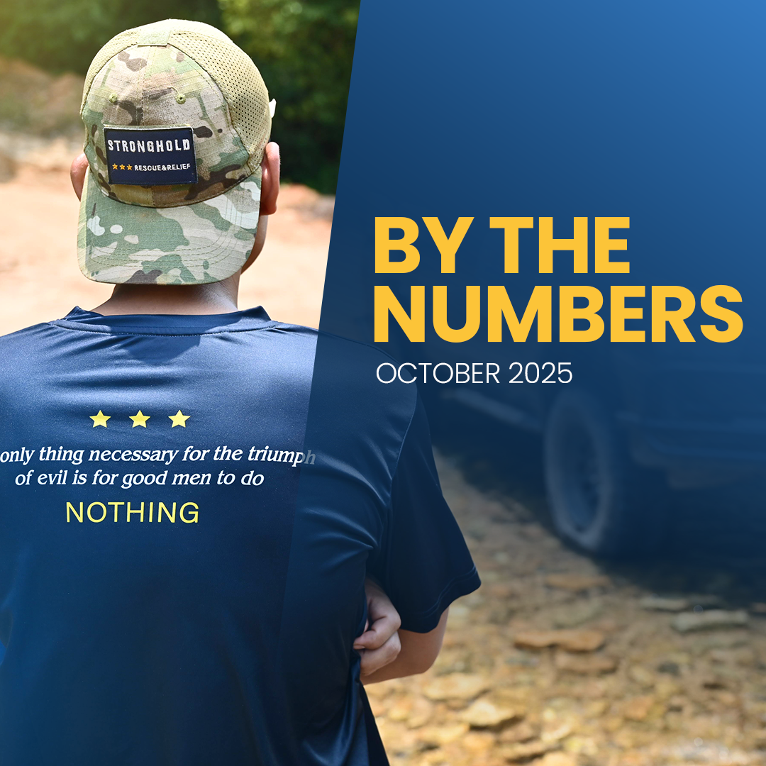 By the Numbers: November