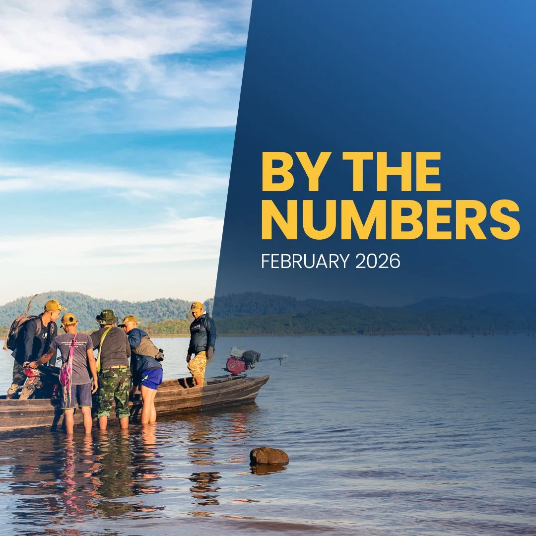 By the Numbers: February