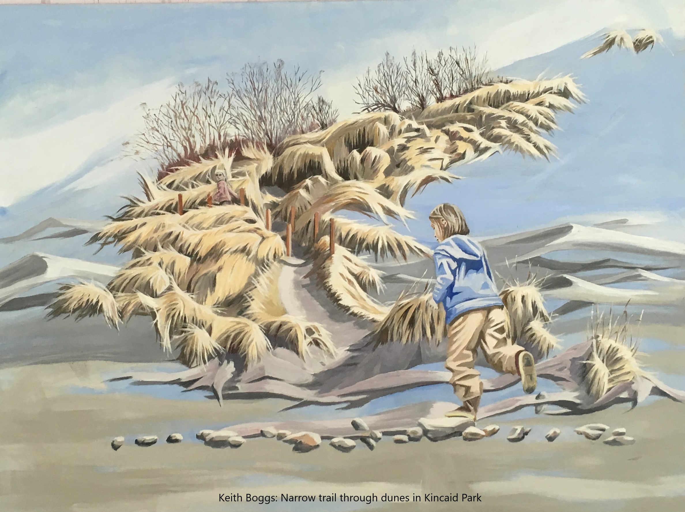 Narrow trail through dunes in Kincaid Park. 4 x 2.5 ft