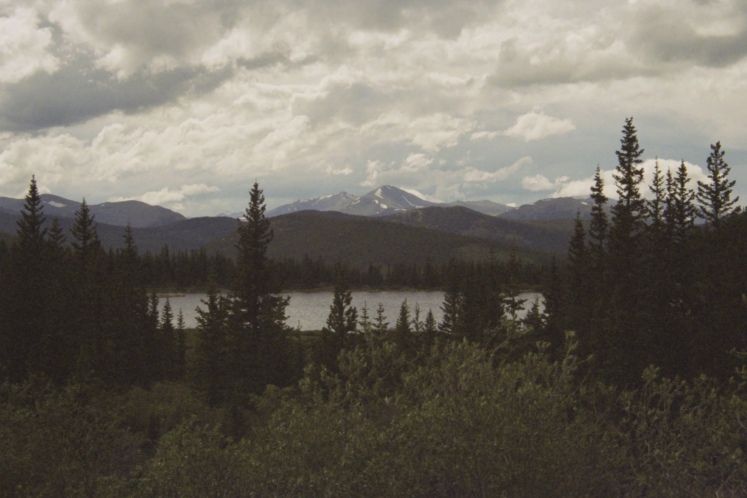 2022.7.28.Kodak Portra 800 - 35mm2_0006.JPG