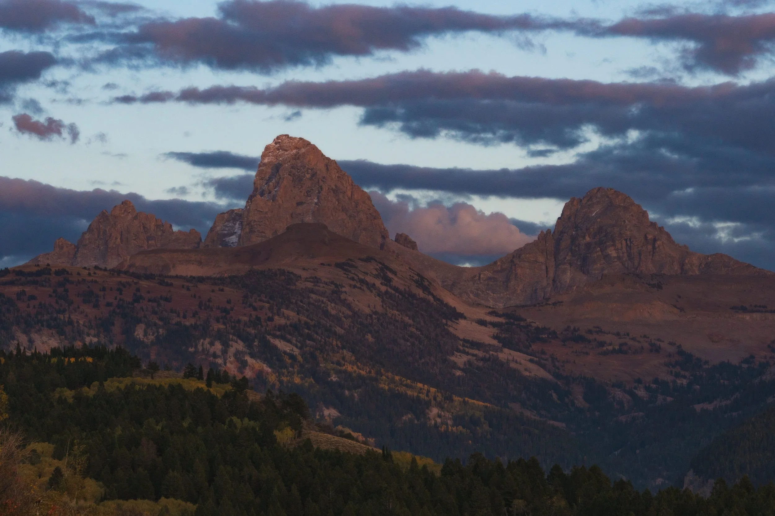 TetonsYellowstoneWebsite-1.jpg