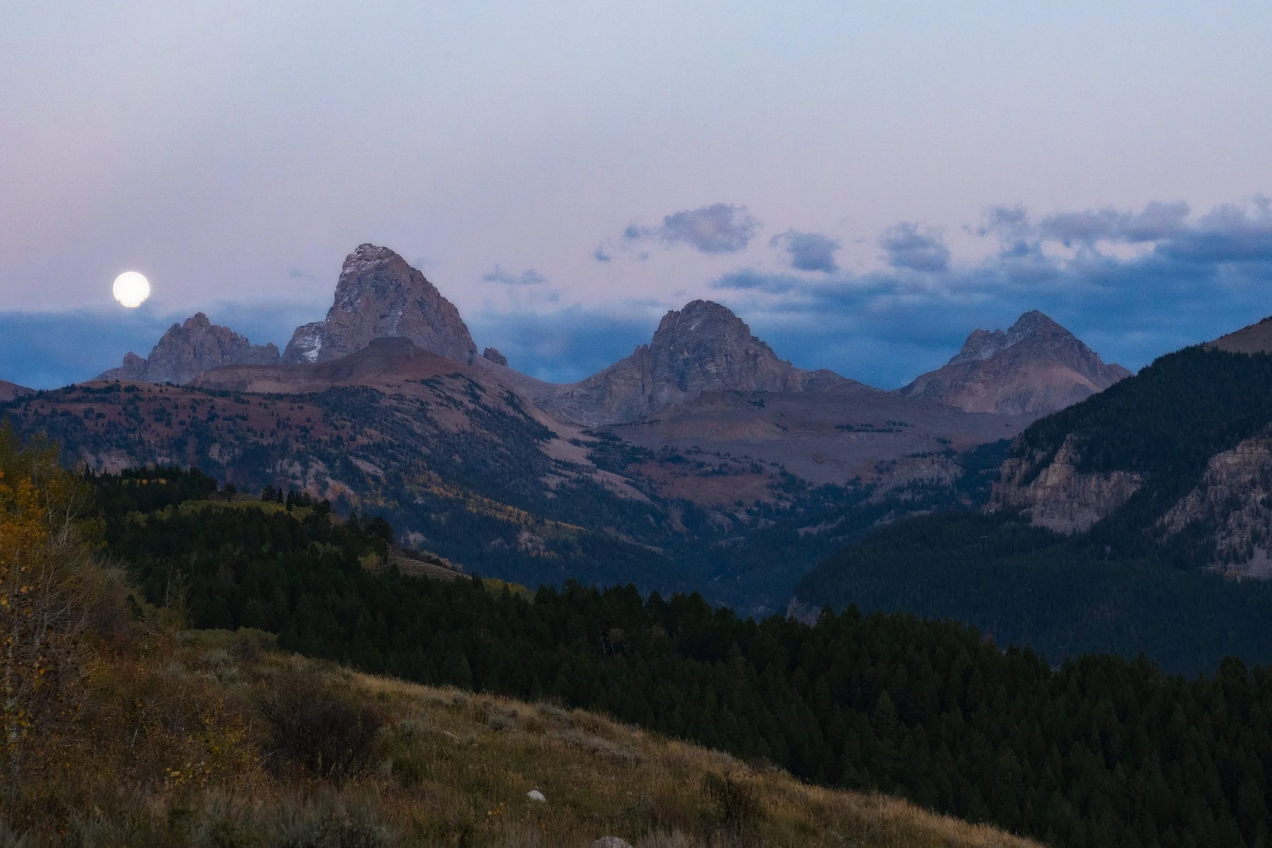 TetonsYellowstoneWebsite-2.jpg