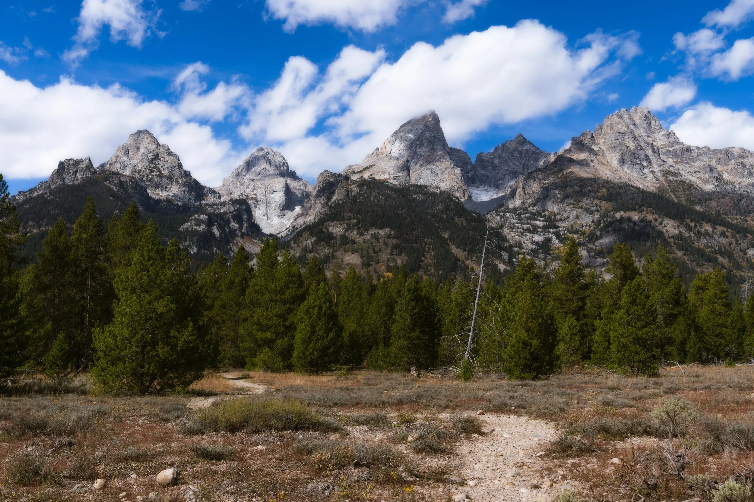 TetonsYellowstoneWebsite-4.jpg