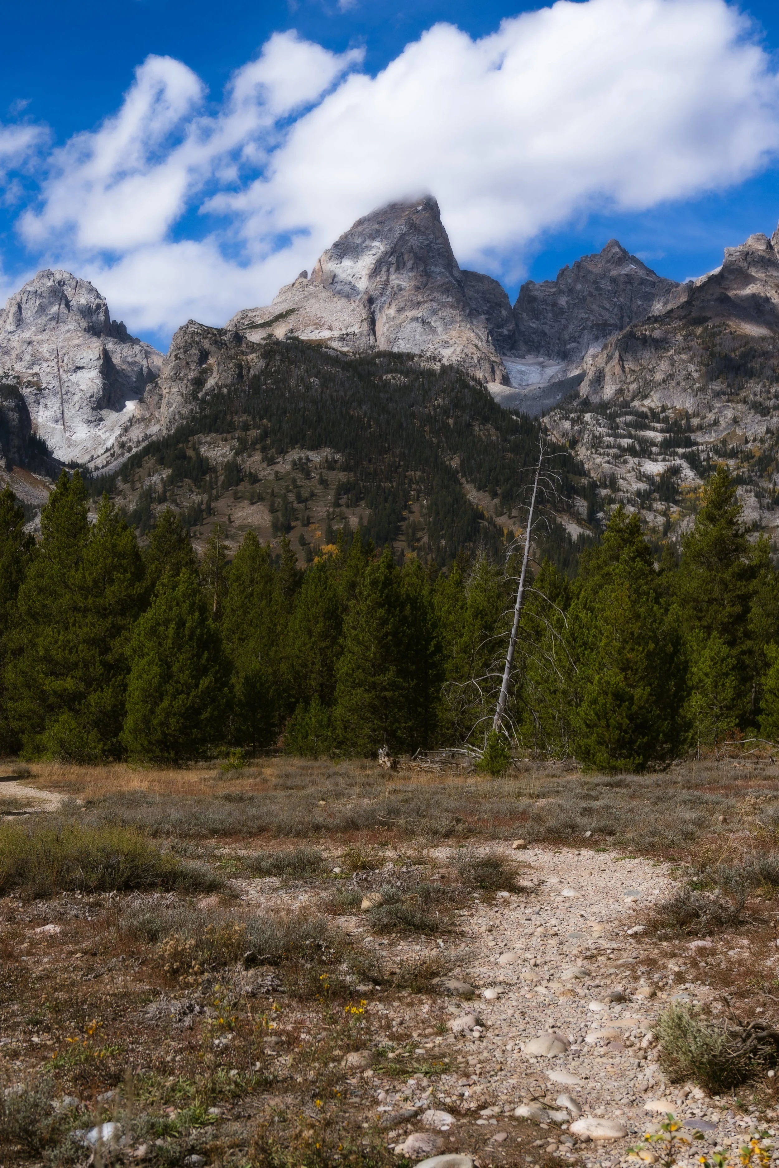 TetonsYellowstoneWebsite-5.jpg